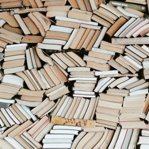 Etude et expérimentation dans le cadre de l’installation, l’animation et la maintenance de boîtes à livre dans les gares d’Ile-de-France