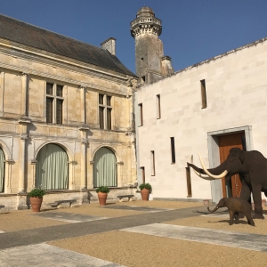 Etude d’optimisation de l’exploitation des monuments et musées départementaux de l’Indre et Loire