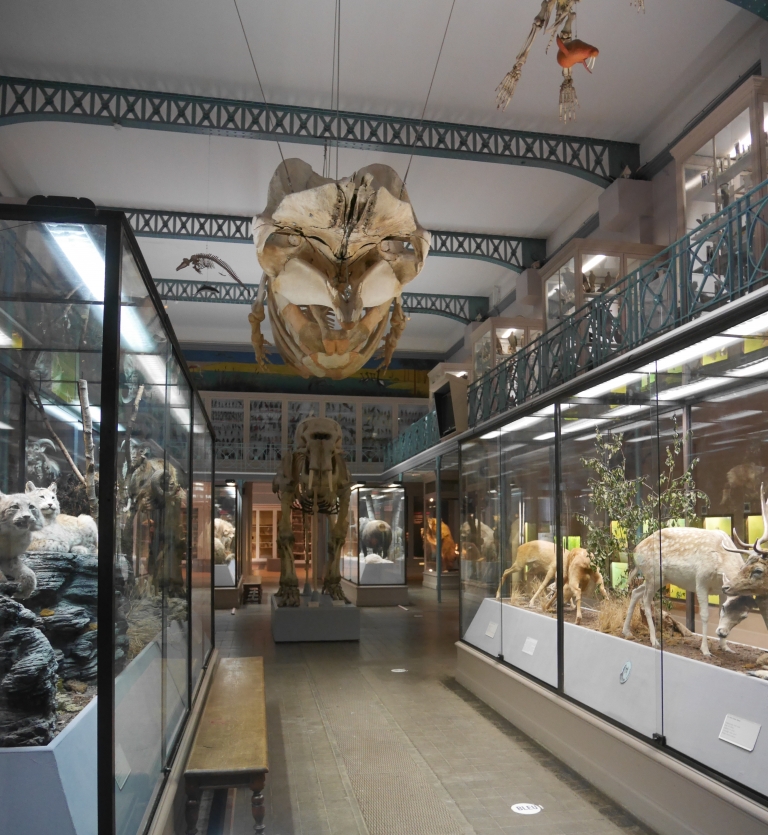 Programmation de la restructuration du Musée