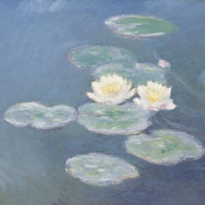 Etude de programmation pour la restructuration et l’extension du musée Marmottan – Monet à Paris