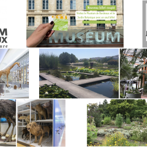 Mission d’assistance à la rédaction d’un PSC commun au Muséum d’histoire naturelle et au Jardin botanique de Bordeaux